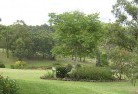Billeroyresidential-landscaping-40.jpg; ?>